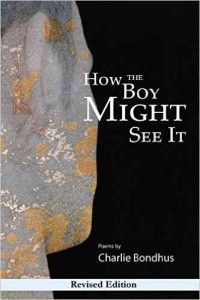 ‘How the Boy Might See It’ by Charlie Bondhus image