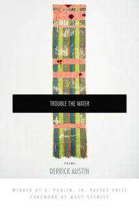 ‘Trouble the Water’ by Derrick Austin image