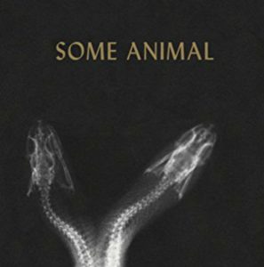 ‘Some Animal’ by Ely Shipley image