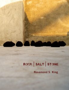 Rosamond S. King & Jen Bervin: On Poetry, Art, & Our Dystopian Reality image
