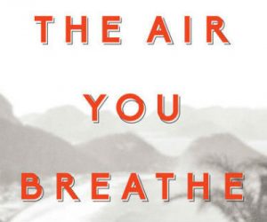‘The Air You Breathe’ by Frances De Pontes Peebles image