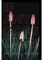 If Any Gods Lived: Poems by Michael J Wilson