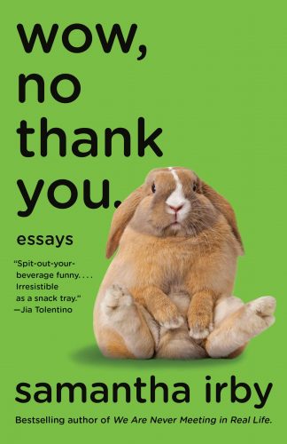cover of Samantha Irby's "Wow, No Thank You." : a fluffy brown bunny seated on a green background